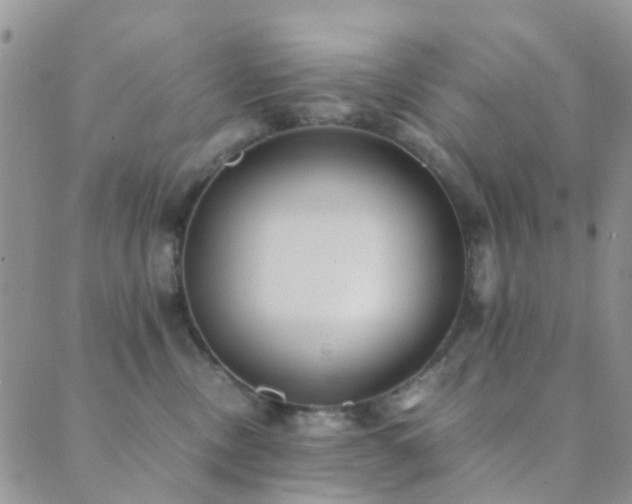 X0000089710378200706211349