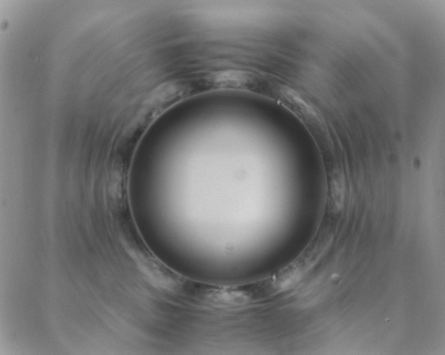 X0000089710379200706211349