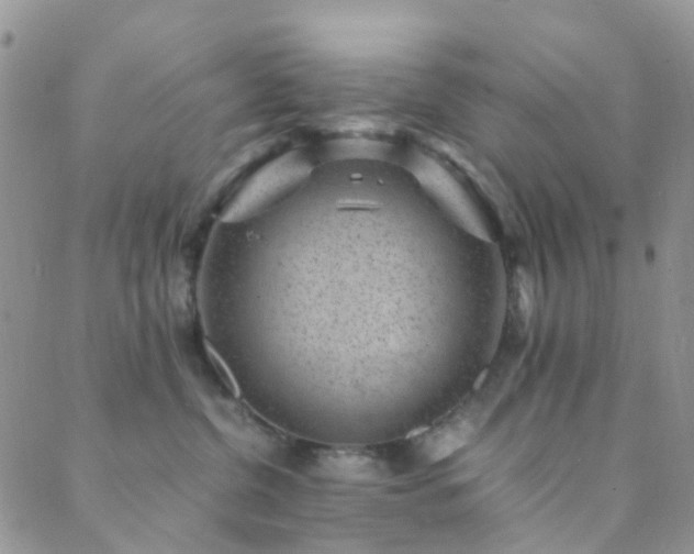 X0000089710380200706211349