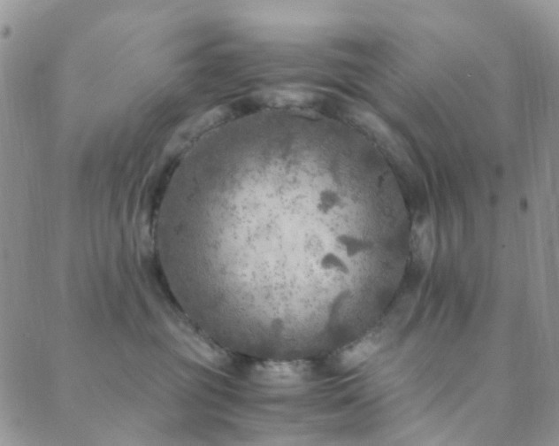 X0000089710381200706211349