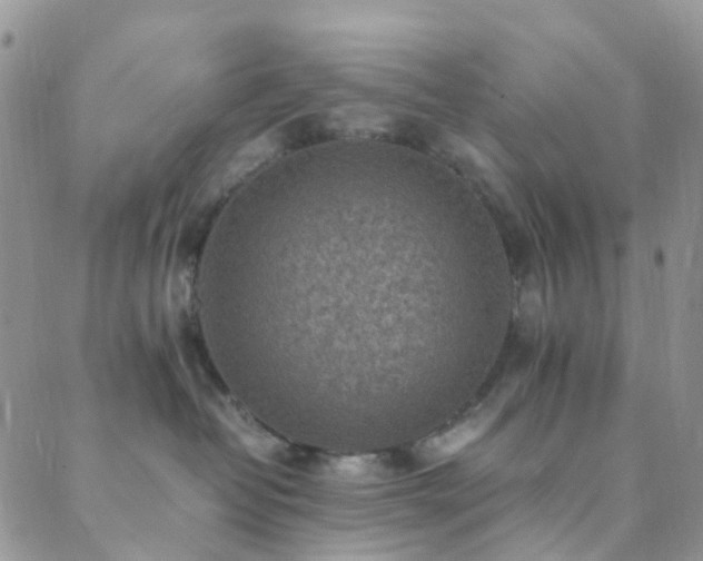 X0000089710382200706211349