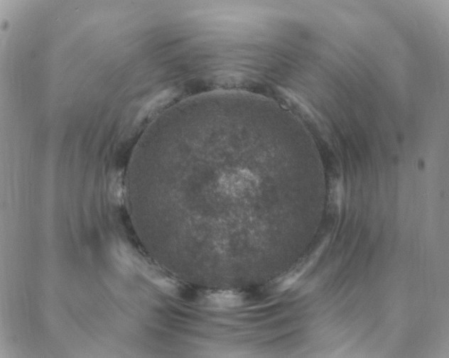 X0000089710383200706211349