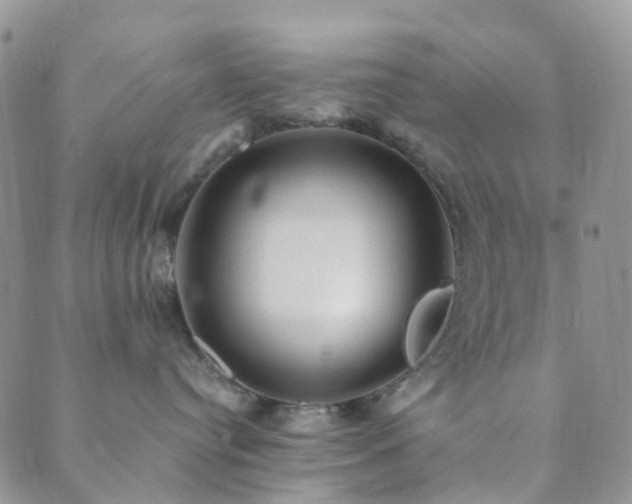 X0000089710384200706211349