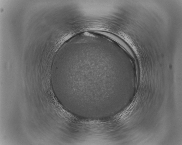 X0000089710385200706211348