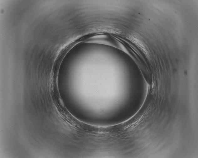 X0000089710388200706211348