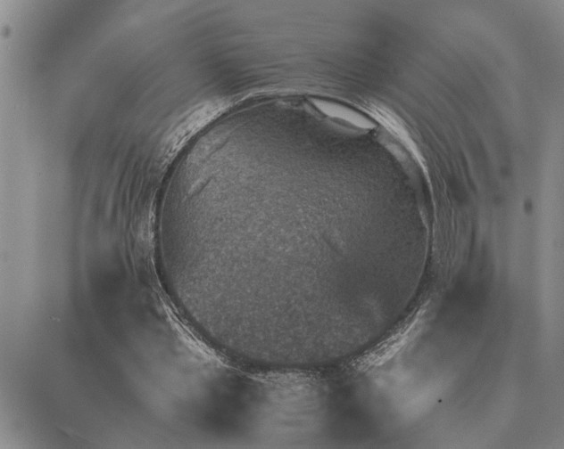 X0000089710389200706211348