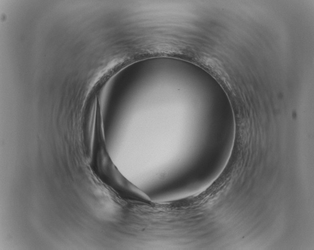 X0000089710395200706211348