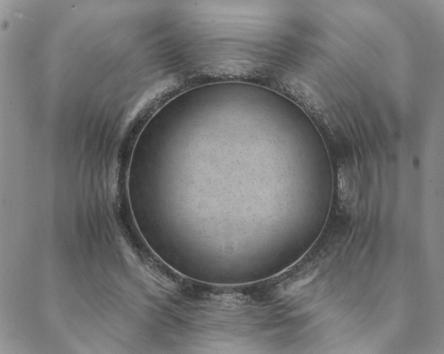 X0000089710396200706211348