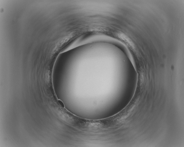 X0000089710401200706211348