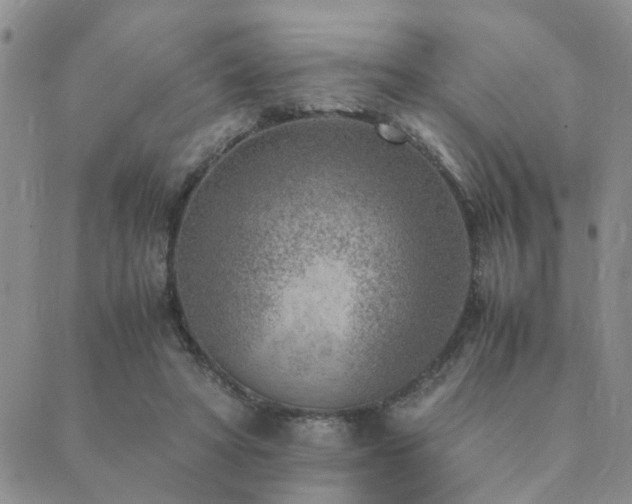 X0000089710402200706211348