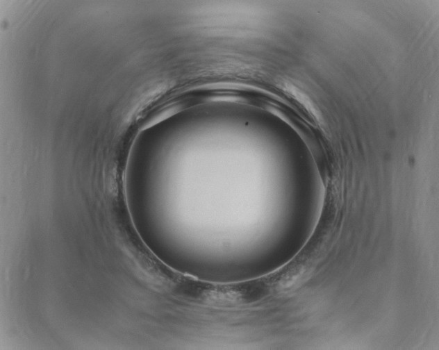 X0000089710403200706211348