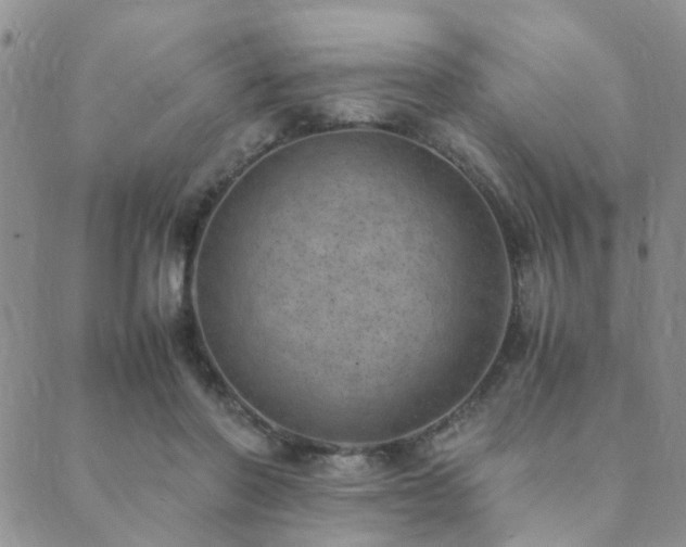 X0000089710406200706211348