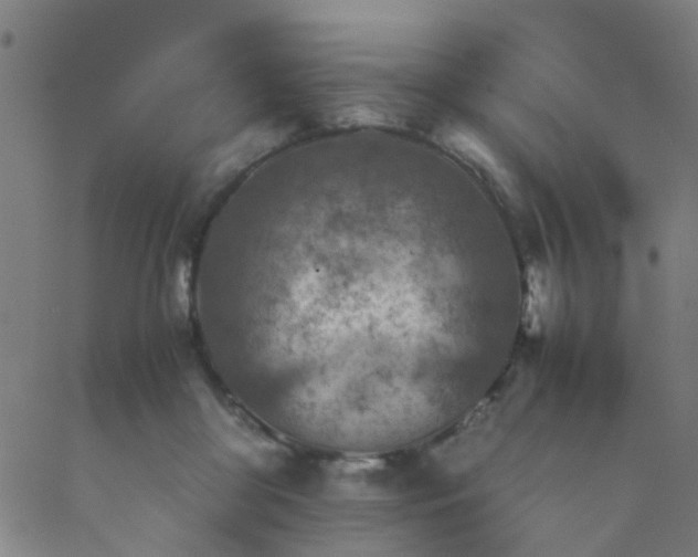 X0000089710410200706211348