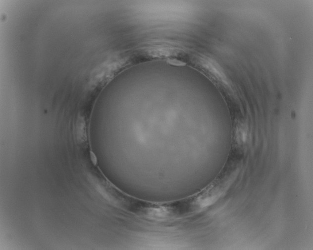 X0000089710411200706211348