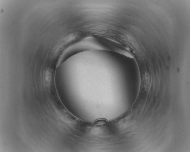 X0000089710412200706211348