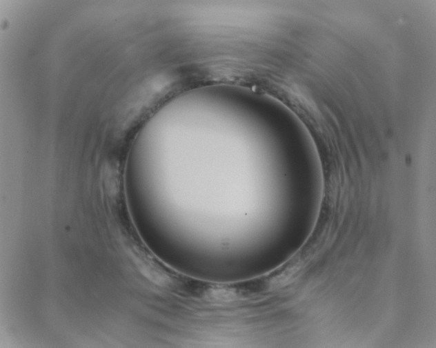 X0000089710413200706211348