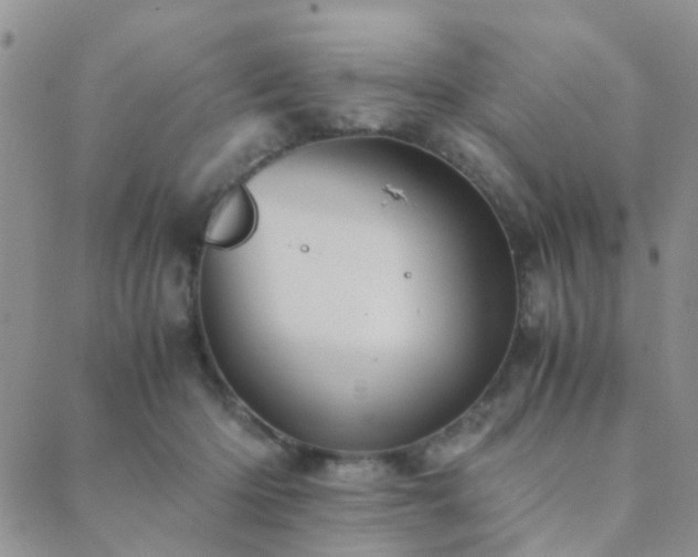 X0000089710414200706211348