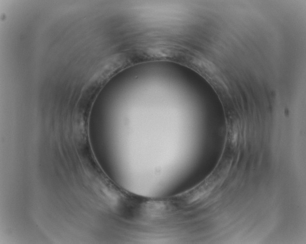 X0000089710418200706211348