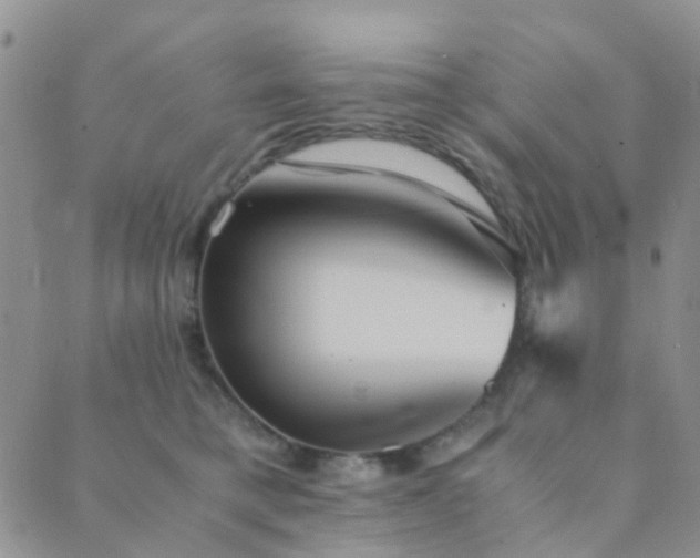 X0000089710421200706211348