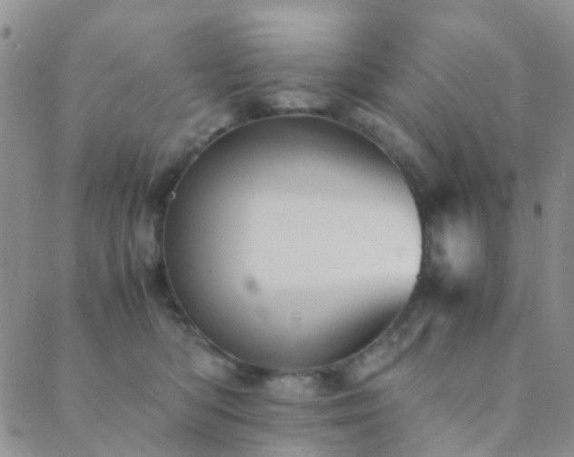 X0000089710422200706211348