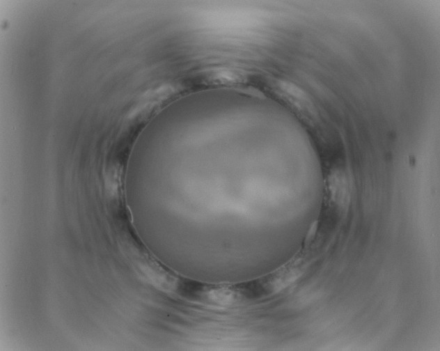 X0000089710423200706211348