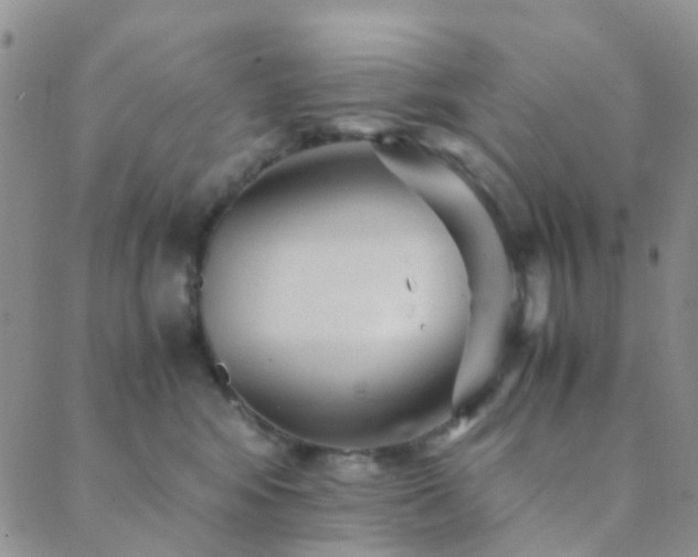 X0000089710424200706211348