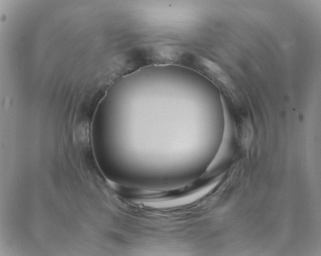 X0000089710425200706211348