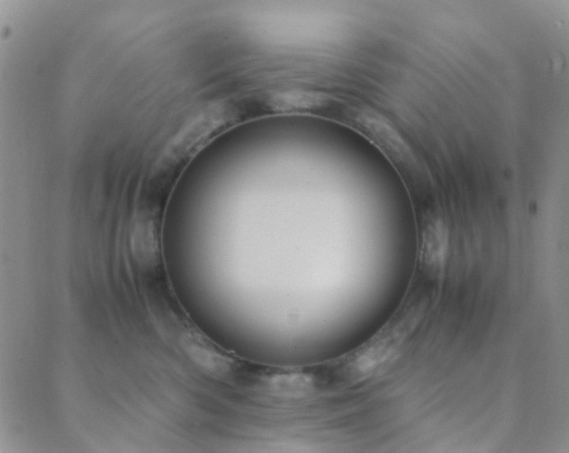 X0000089710426200706211348