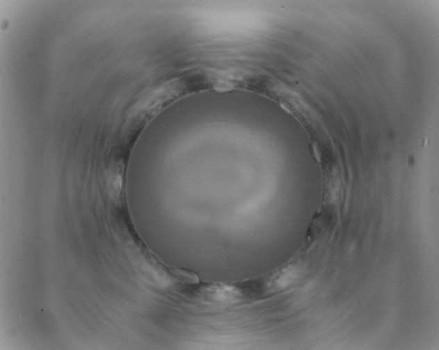 X0000089710427200706211348