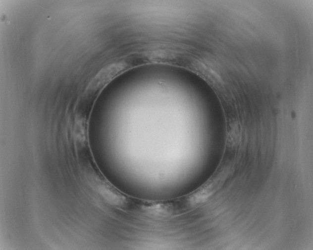 X0000089710430200706211348