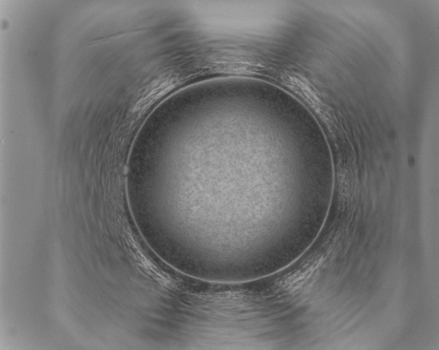 X0000089710433200706211347