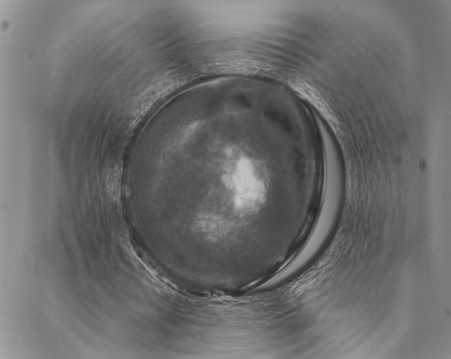 X0000089710434200706211347