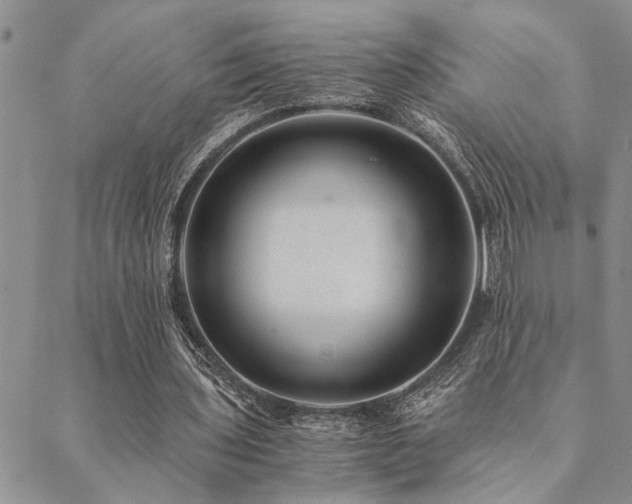 X0000089710435200706211347