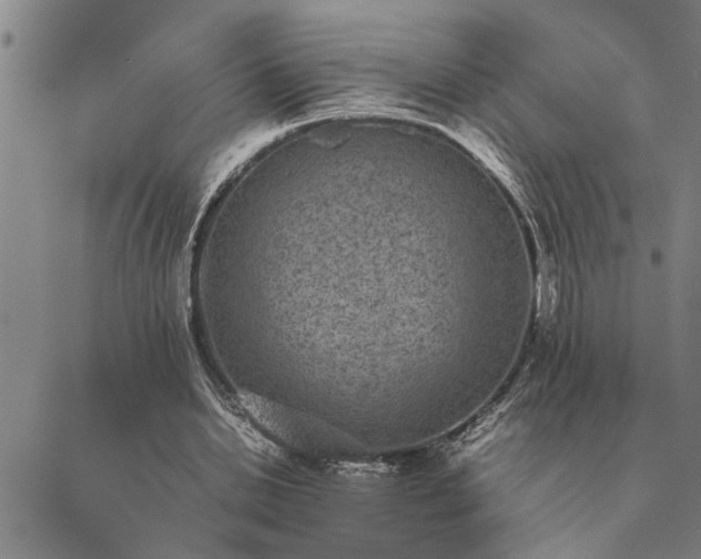 X0000089710438200706211347