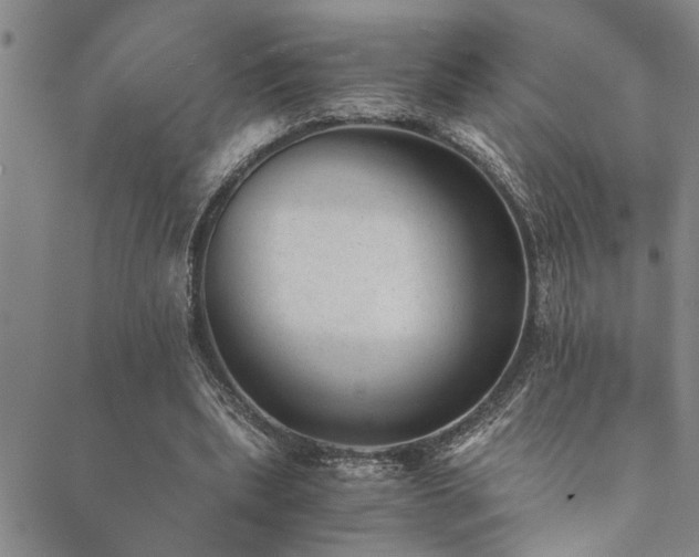 X0000089710439200706211347