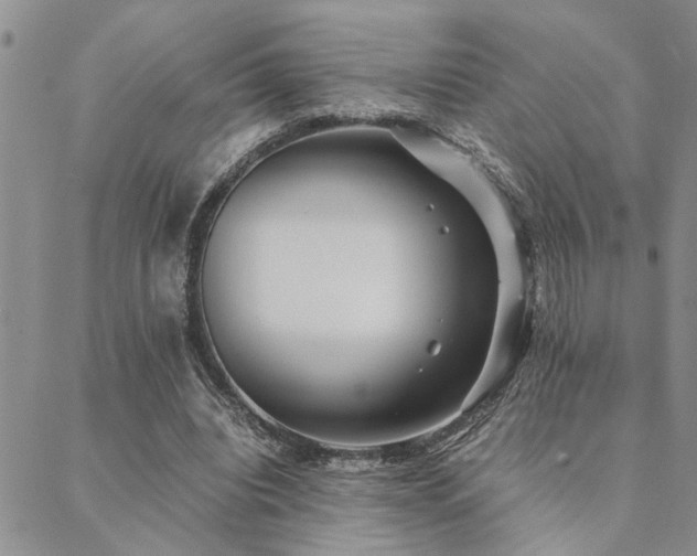 X0000089710440200706211347