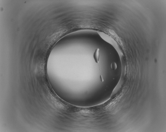 X0000089710441200706211347