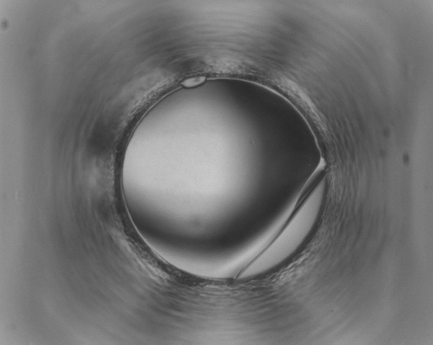 X0000089710442200706211347