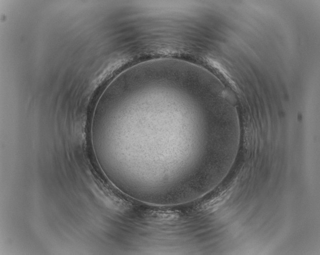 X0000089710443200706211347