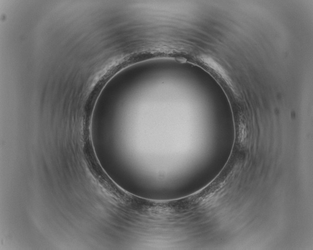 X0000089710444200706211347