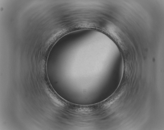 X0000089710445200706211347