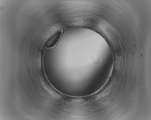 X0000089710446200706211347