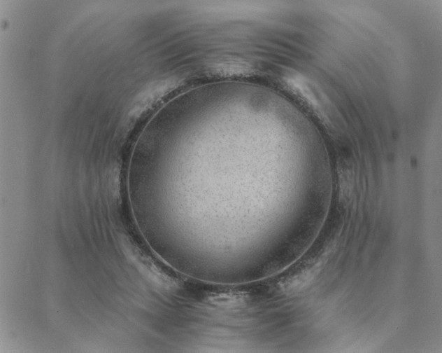 X0000089710447200706211347