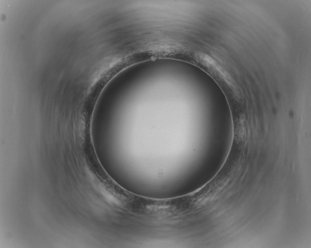 X0000089710448200706211347