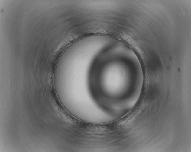 X0000089710449200706211347