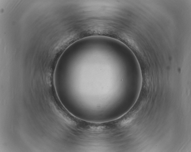 X0000089710450200706211347