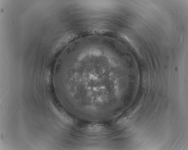 X0000089710451200706211347