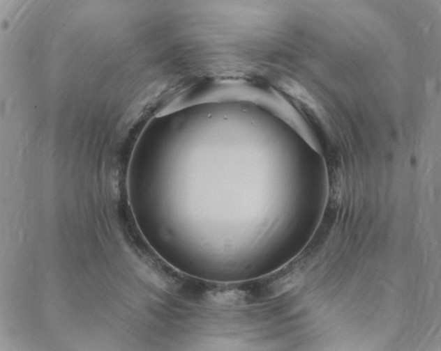 X0000089710452200706211347