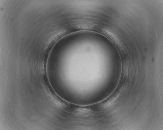 X0000089710453200706211347