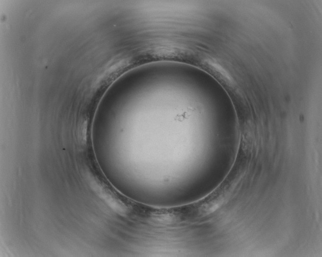 X0000089710454200706211347